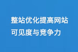 搜索引擎優化（SEO）整站優化提高網站在搜索引擎中的可見度與競爭力