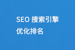 搜索引擎優化（SEO）排名 